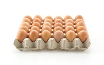 10 Stück Freilandeier von Tiroler Hühnern