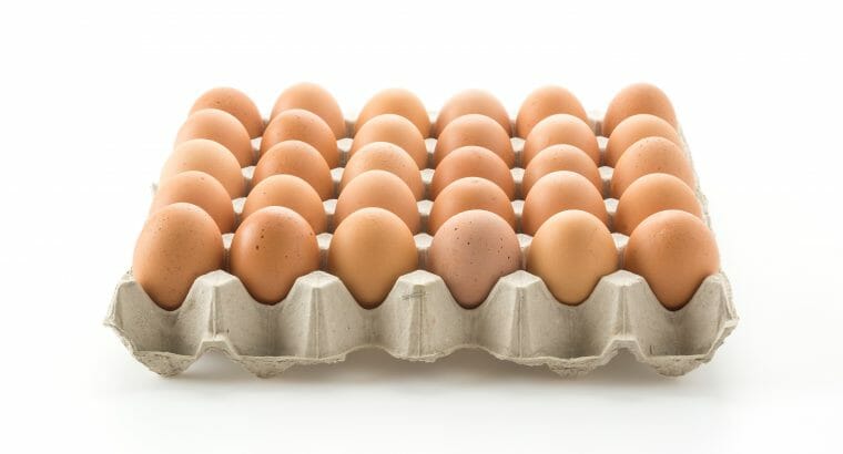 10 Stück Freilandeier von Tiroler Hühnern