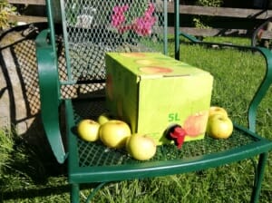 Apfelsaft naturtrüb