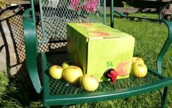 Apfelsaft naturtrüb