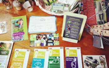 Stadtpflanzen Samentauschbörse