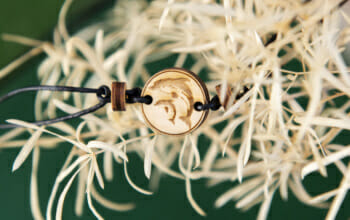 Fußkettchen – Delfine