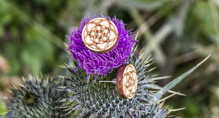 Ohrstecker Venusblume