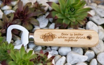 Bieröffner (together)