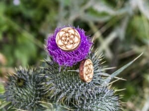 Haarklammer Venusblume