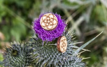 Haarklammer Venusblume