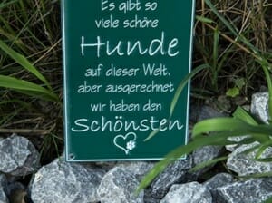 Hundetafel viele schöne Hunde