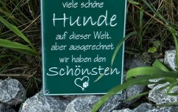 Hundetafel viele schöne Hunde