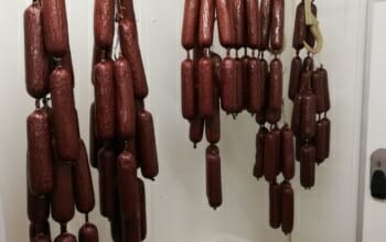 Bio Mangaliza Rinderwurst