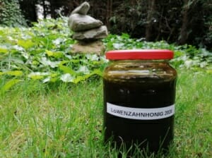 Löwenzahnhonig