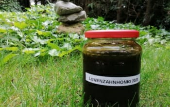 Löwenzahnhonig