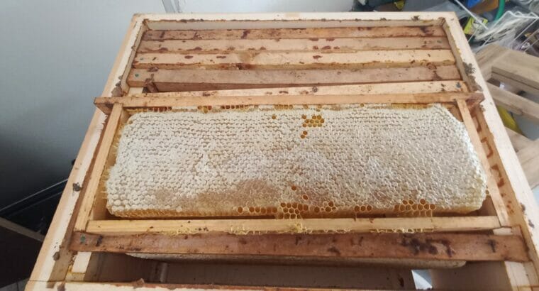 Bio Lagenhonig aus dem Kamptal (Waldviertel/Niederösterreich