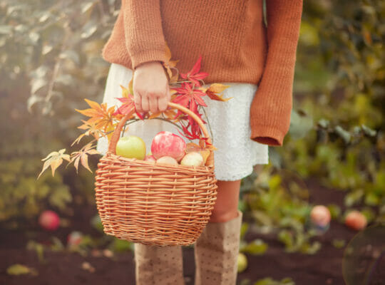 Ab-Hof-Verkauf: Die Vorteile für Kunden und Landwirte